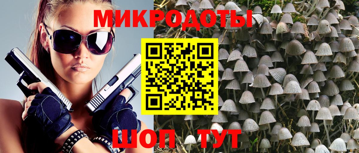 Кимовск  Псилоцибиновые грибы прущие грибы  Вход с VPN  Псилоцибиновые грибы Psilocybine cubensis 