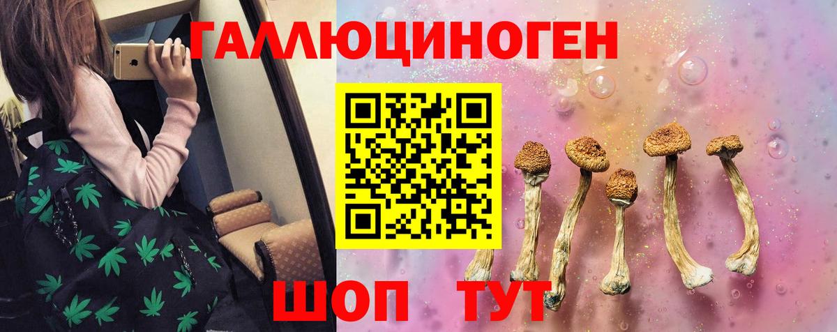 Псилоцибиновые грибы Cubensis Кимовск